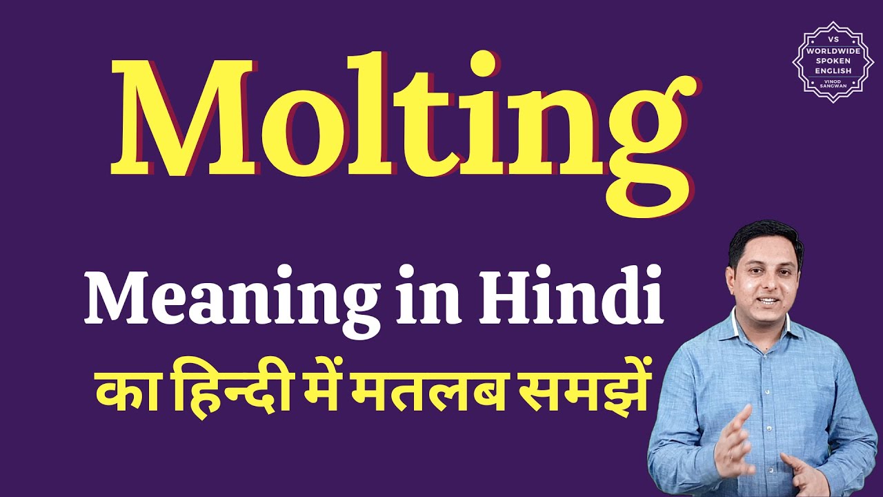 Molting meaning in Hindi | Molting ka matlab kya hota hai | English vocabulary words