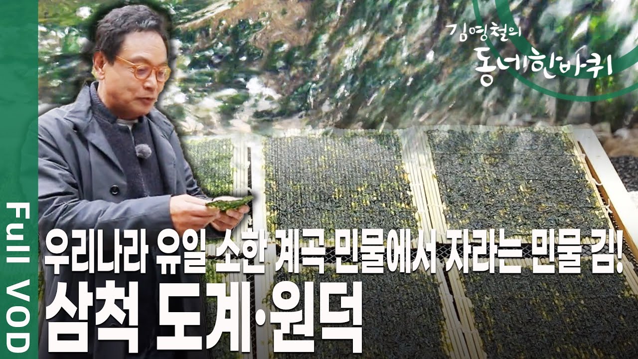 과거 5대 공업 도시! 청정한 바다와 아름다운 산세를 품고 있는 강원도 삼척 도계·원덕 [김영철의 동네 한 바퀴 KBS 20191130 방송]