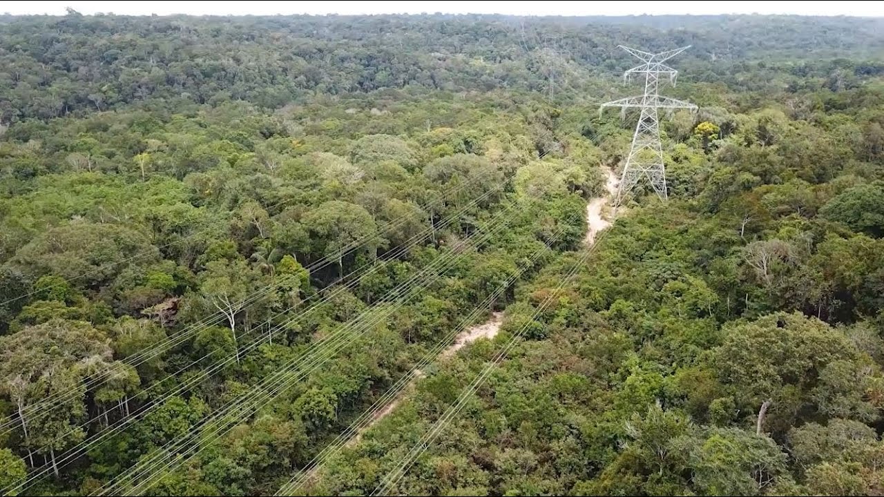 Por Dentro da Eletronorte: Subestação Lechuga e Hidrelétrica Balbina - Visita Técnica Virtual