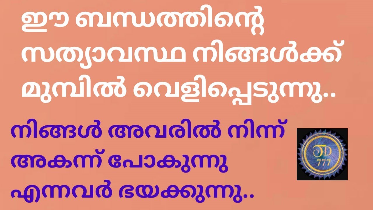  നിങ്ങളുടെ ബന്ധത്തിൻ്റെ കറൻ്റ് എനർജി..@tarotdexterity777.