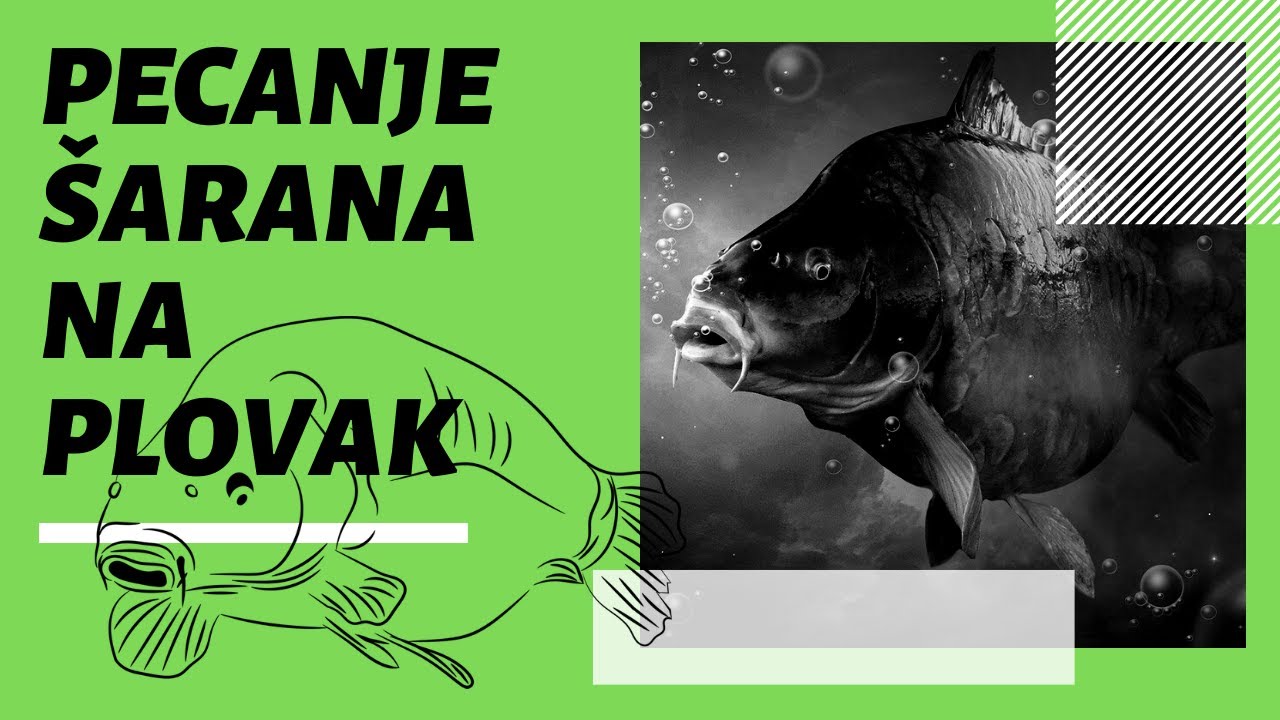 Pecanje šarana na plovak: Mali savjeti za uspješan ribolov