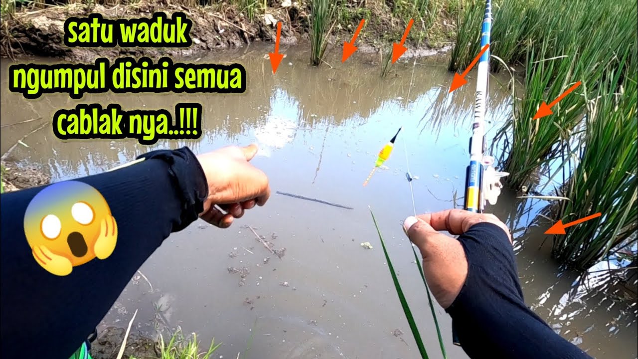 SARANG CABLAK SATU WADUK NGUMPUL DI SINI IKAN NYA || mancing hama di waduk karangkates NAHOL MANIA