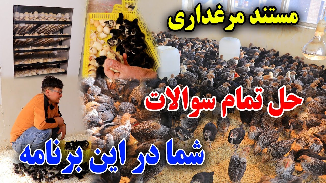 چگونه یک تجارت کوچک داشته باشید؟حل تمام سولات شما این برنامه را از دست ندهید/ جمشیدغضنفری