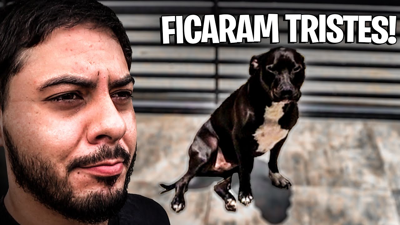 REAÇÃO DOS CACHORROS, SENTINDO O CHEIRO DA MARIAH😨[ FICARAM TRISTES ]