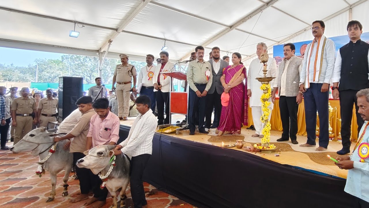 ಹಂಪಿ ಉತ್ಸವಕ್ಕೆ ಲಕ್ಷಾಂತರ ಮೌಲ್ಯದ ರಾಸುಗಳ ಪ್ರದರ್ಶನ. Hampi Utsav 2026.