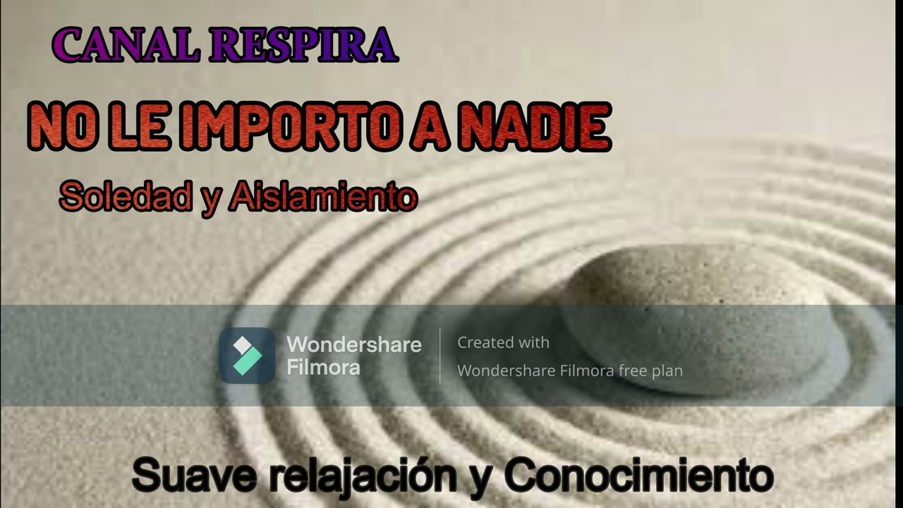 NO LE IMPORTO A NADIE. Soledad y Aislamiento.#autosanación#meditacionguiada  #existentialcrisis