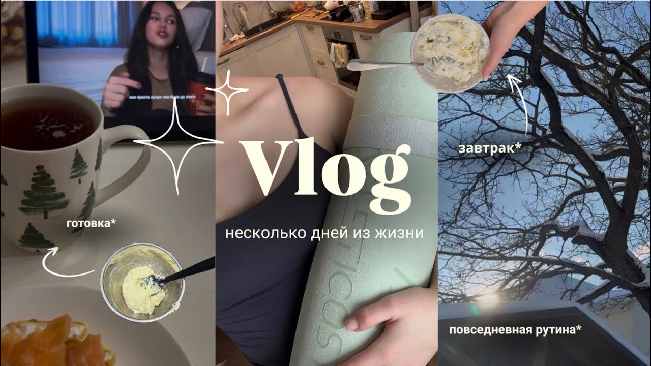 Повседневная рутина | учеба | готовка🫐✨