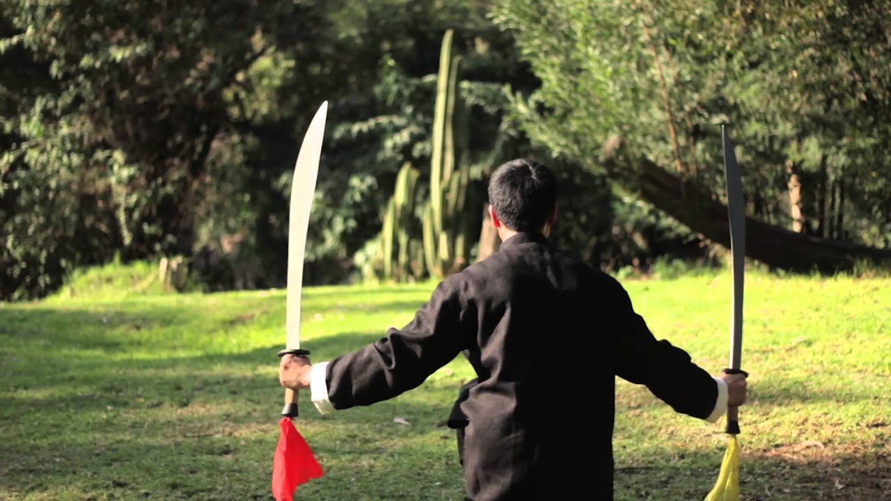 CHEN BING TAI JI ACADEMY CHILE Video promocional I (2015)
