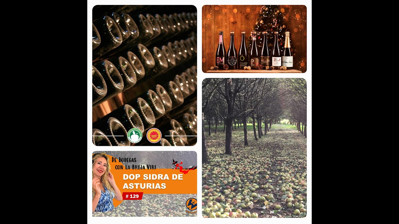 DE BODEGAS CON LA BRUJA VIRI - 03-12-2024