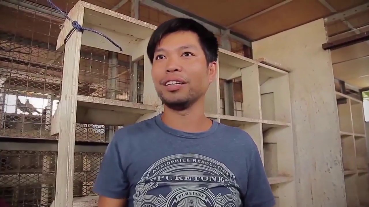 Alagang Magaling S1 Ep1 - Face The Fancier - Nelson Chua