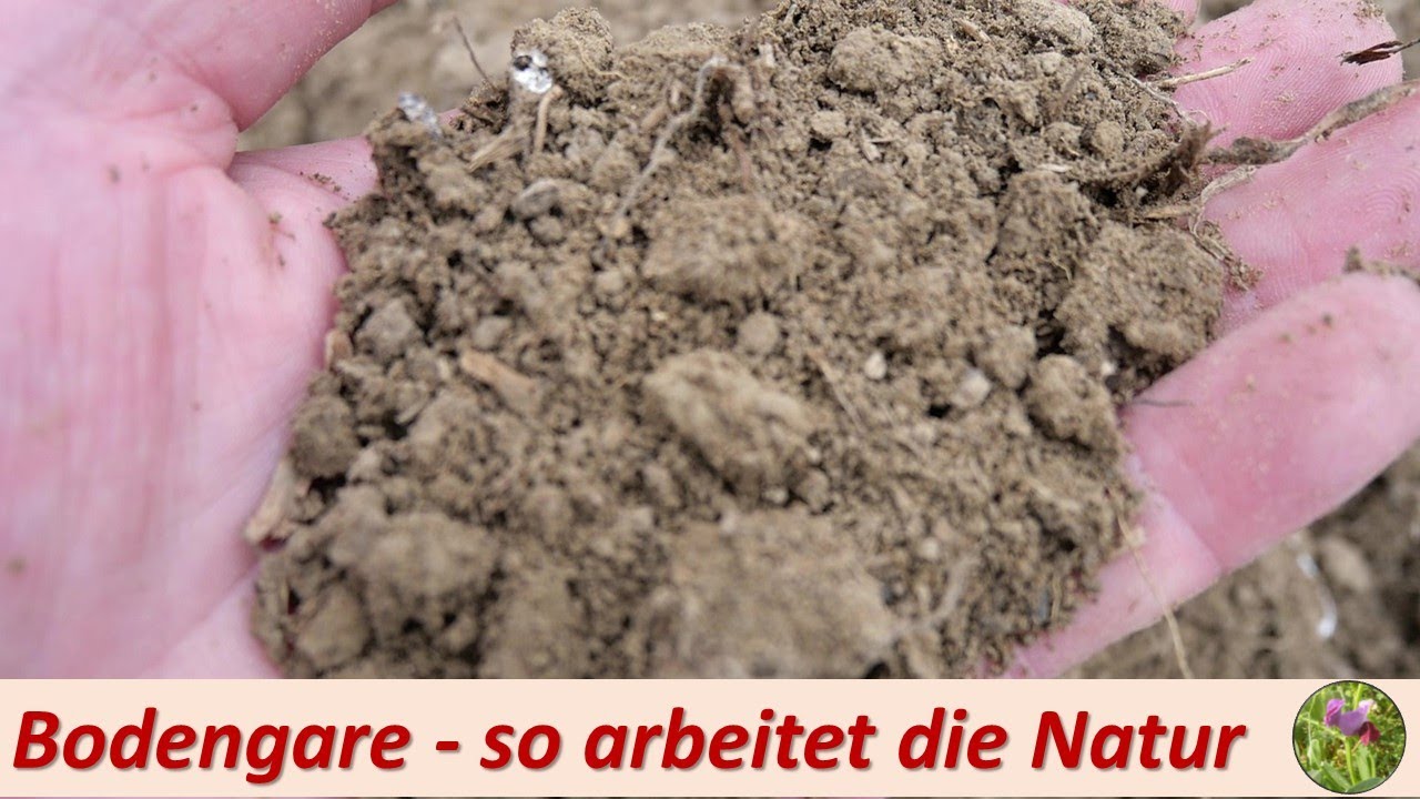 Bodengare - so arbeitet die Natur