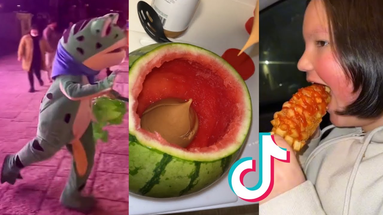 The Most Hilarious Tiktoks That Upset Our Government