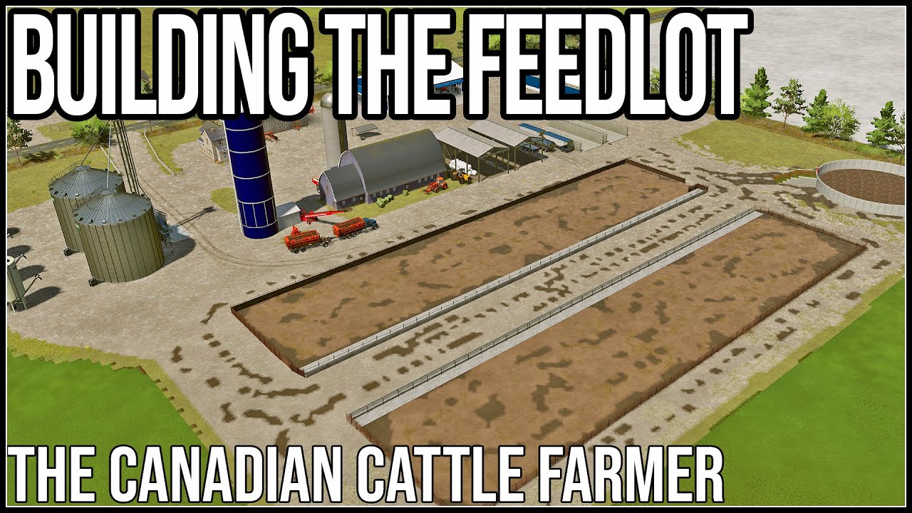 BUILDING A 6000 HEAD FEEDLOT - The Canadian Cattle Farmer - Episode 24