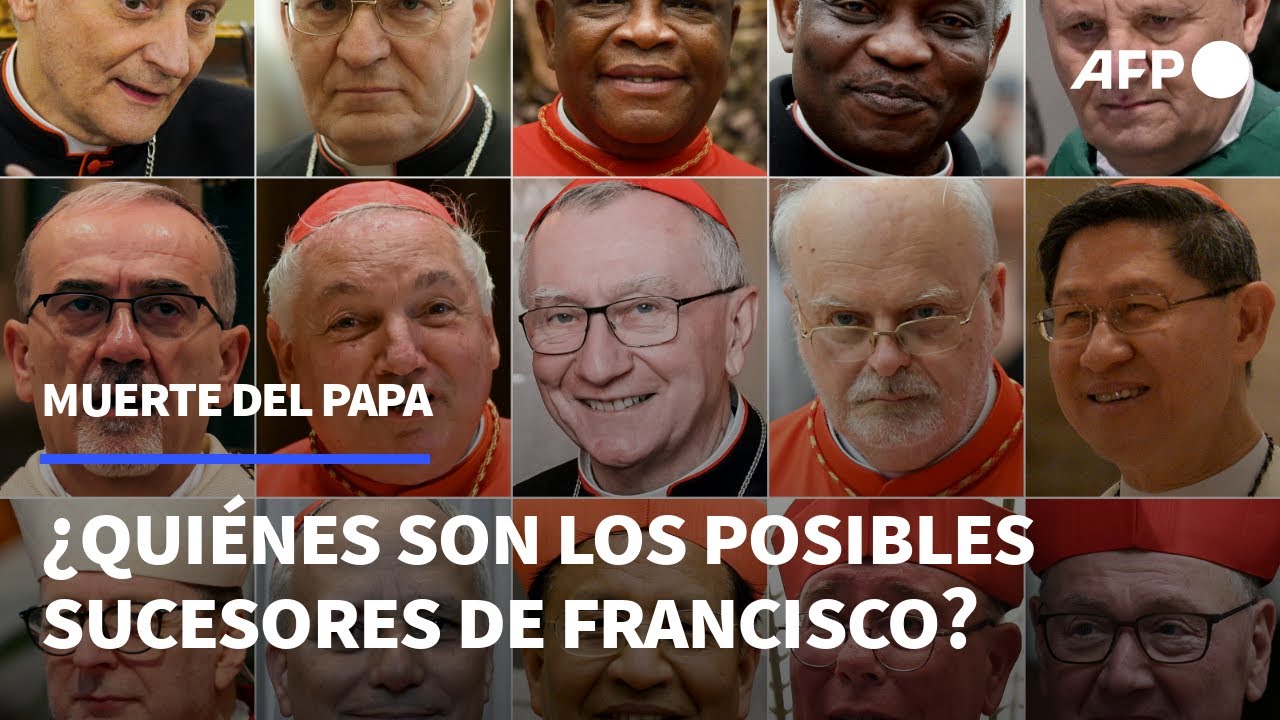 Los “papables”: 15 cardenales destacados, sucesores potenciales del papa Francisco | AFP