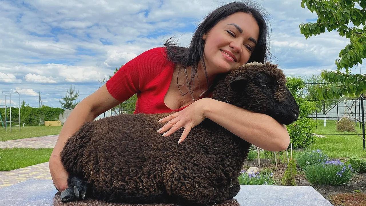 Tortillas croccanti all’orientale con agnello al forno: la ricetta delle samsa uzbeke