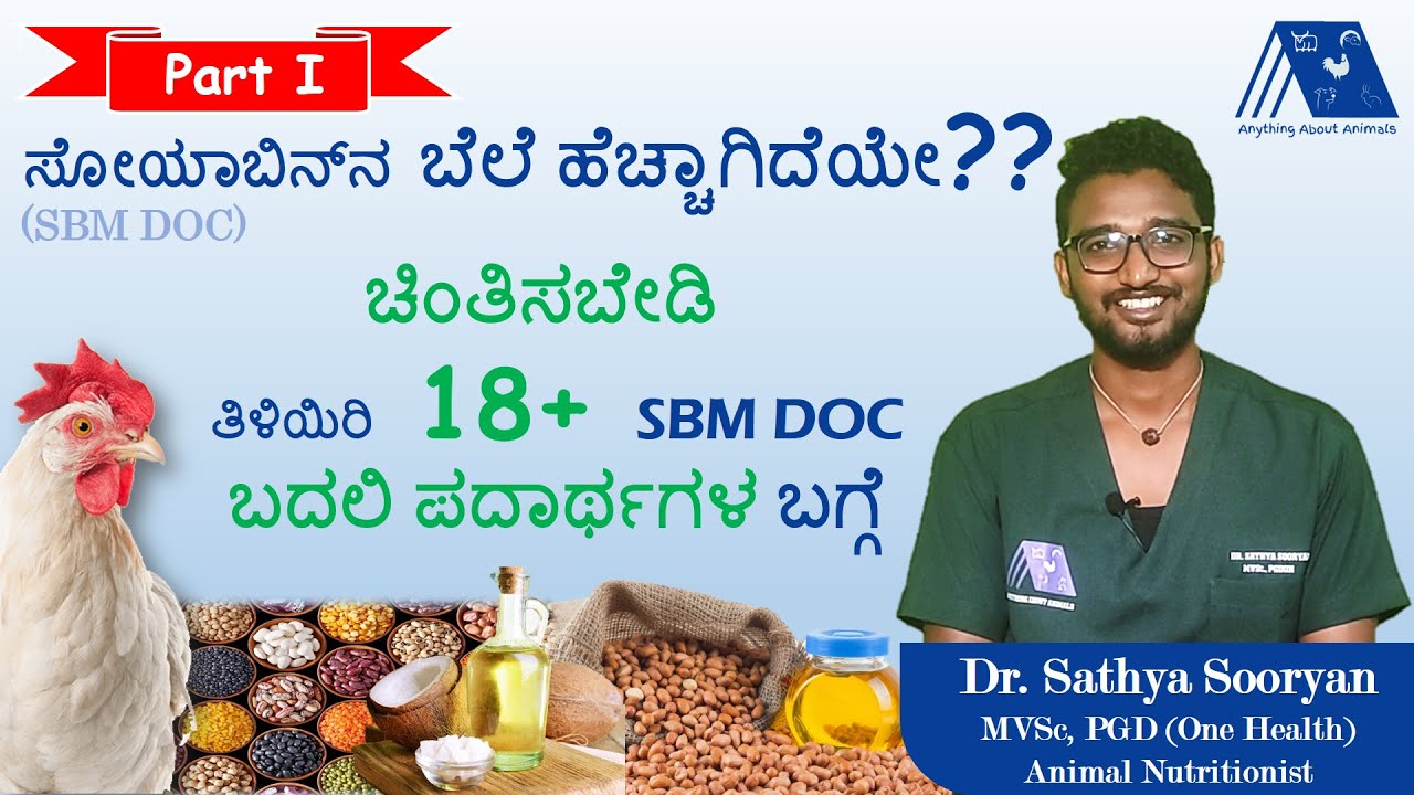 Soya Bean Meal DOC Replacement in Poultry Feed - Part 1(Kannada)| SBM Alternative |Cheap Feed Source