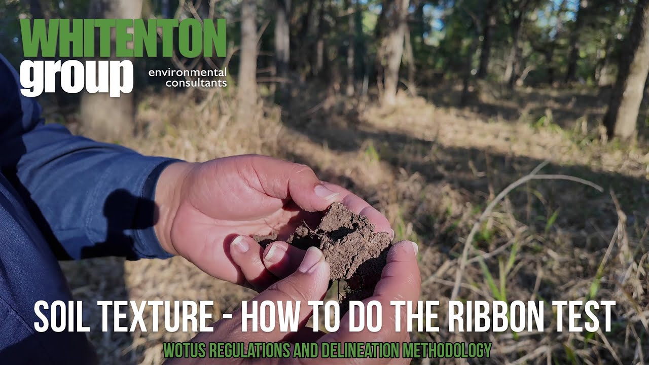 How to Do the Soil Ribbon Test (Texture by Feel)