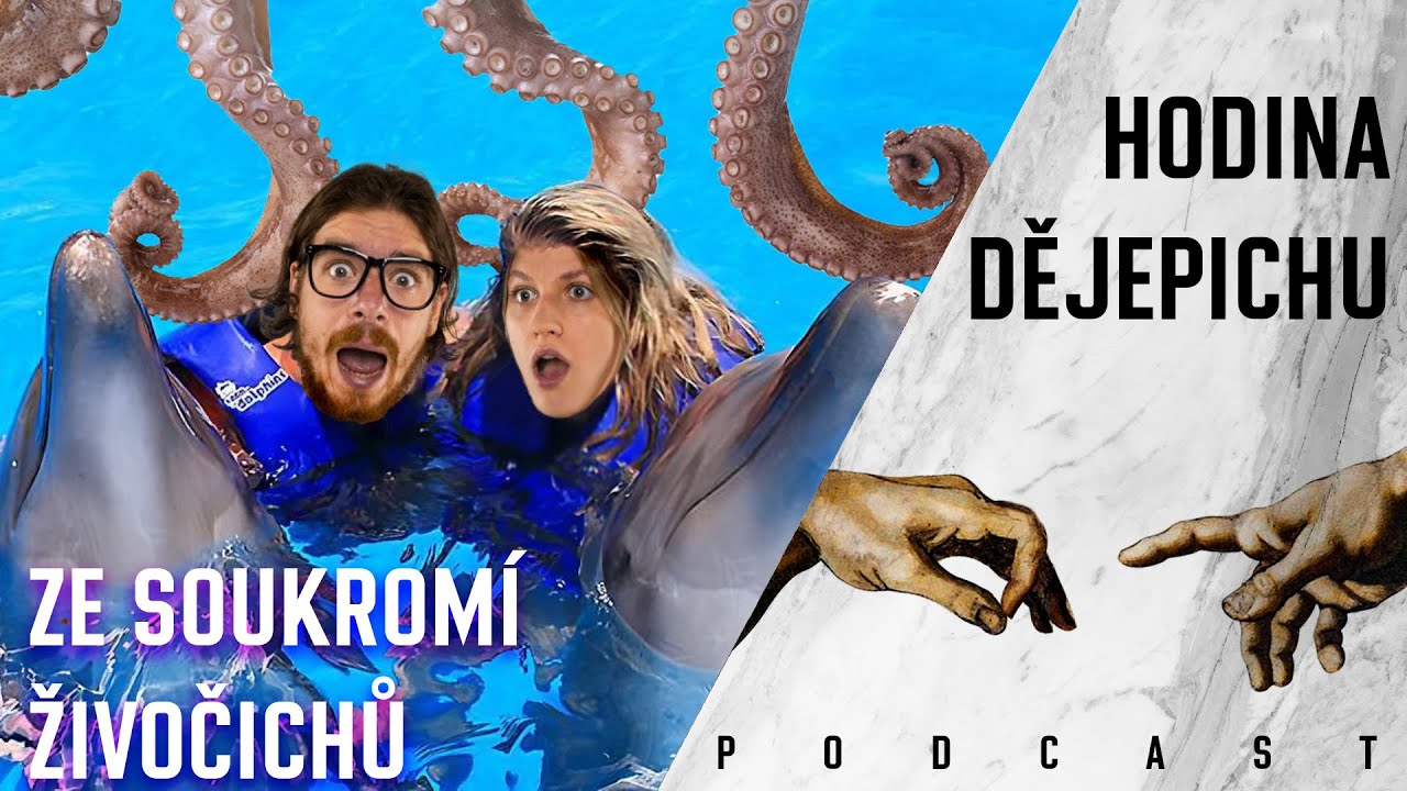 Hodina dějepichu 40: Zvířata jsou strašná prasata. Delfíni znásilňují a chobotnice si trhají penisy