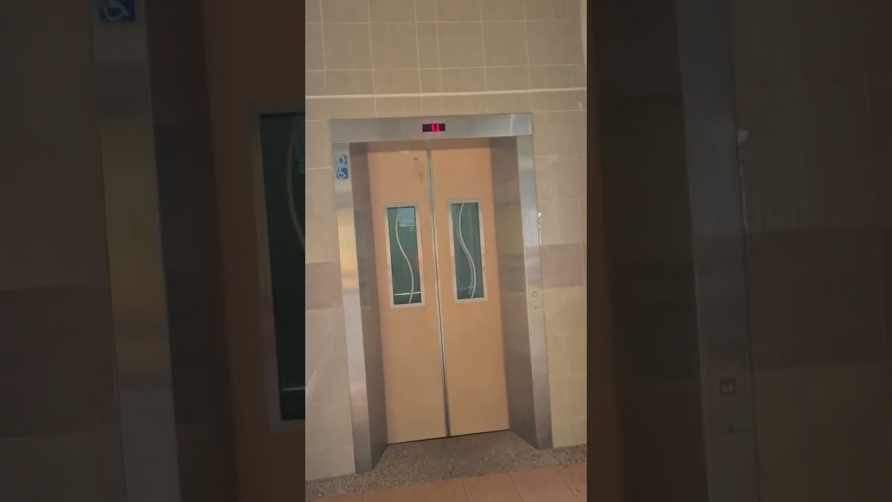 all the lifts at blk 554 bedok north