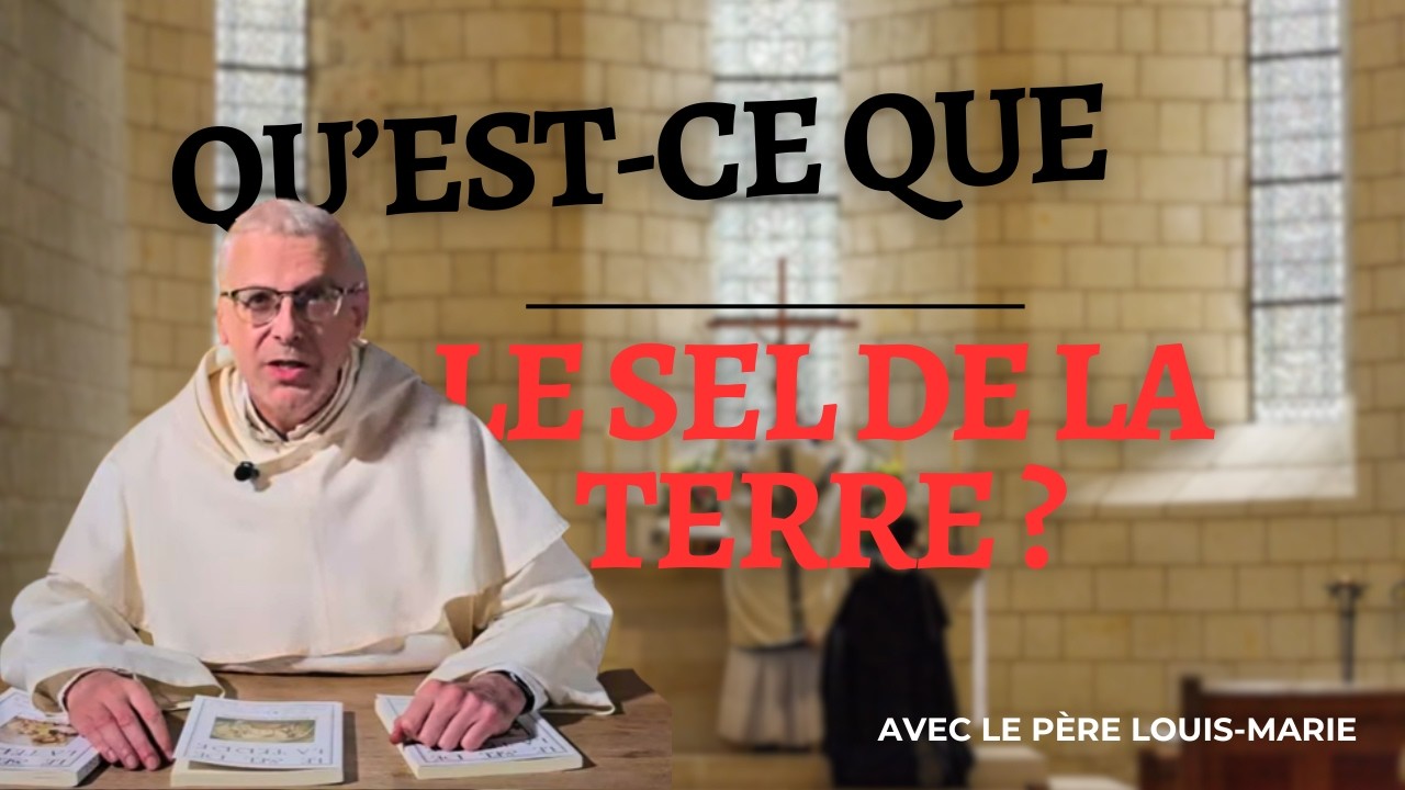 Pourquoi TOUS les catholiques devraient lire Le Sel de la Terre