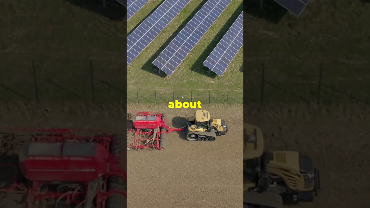 Cosan: From a Single Gas Station to a Global Energy Leader