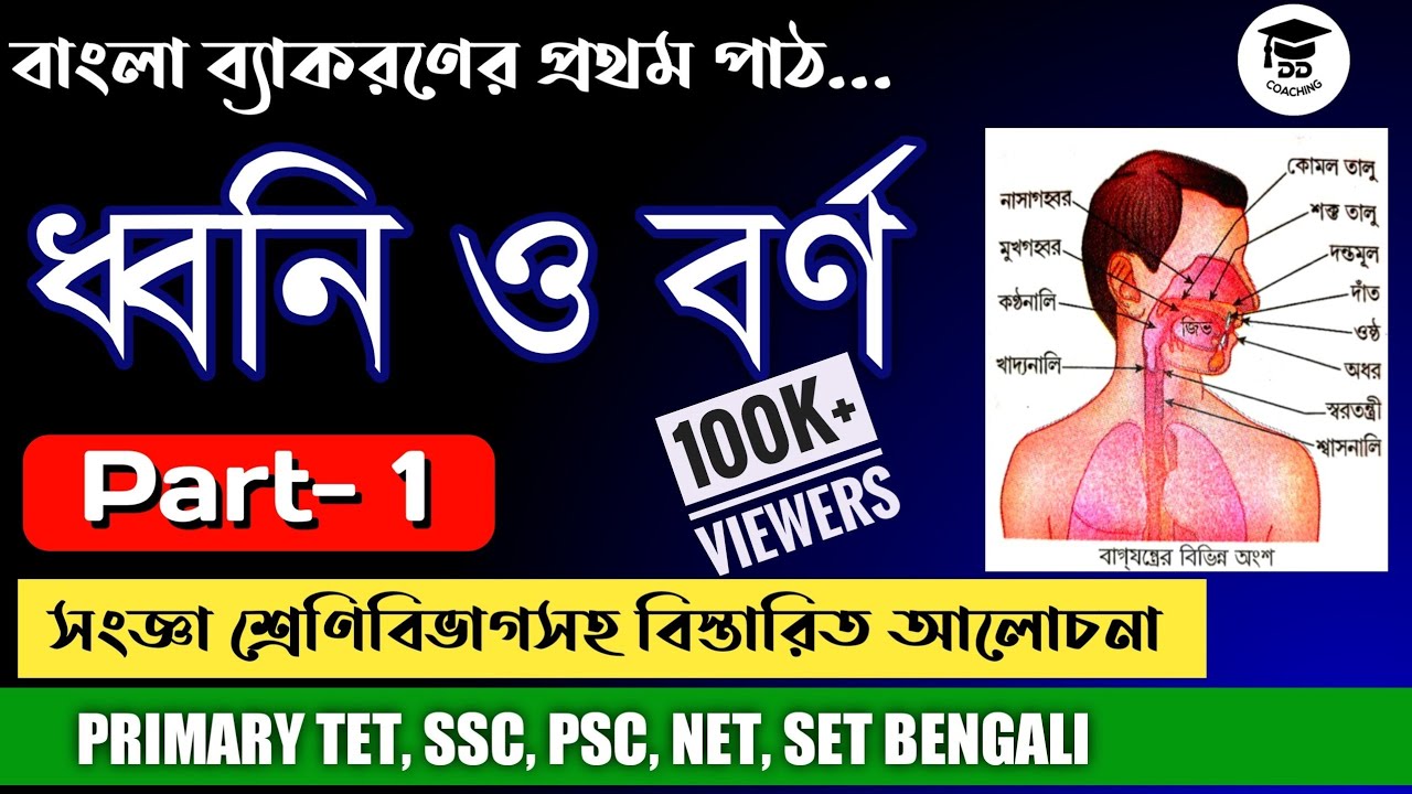 বাংলা ব্যাকরণ | ধ্বনি ও বর্ণ (Dhwoni and Borno )| বর্ণ ও তার শ্রেনিবিভাগ |SSC |NET & SET |