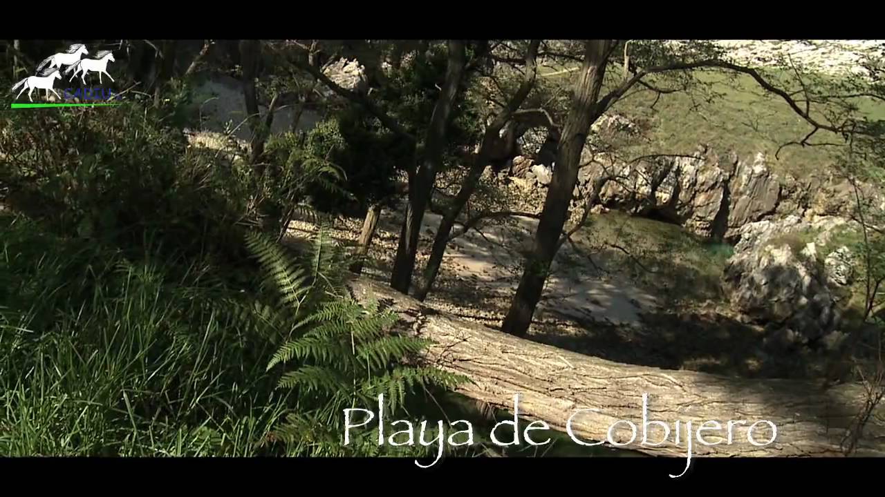 Llanes - Playa del cobijero