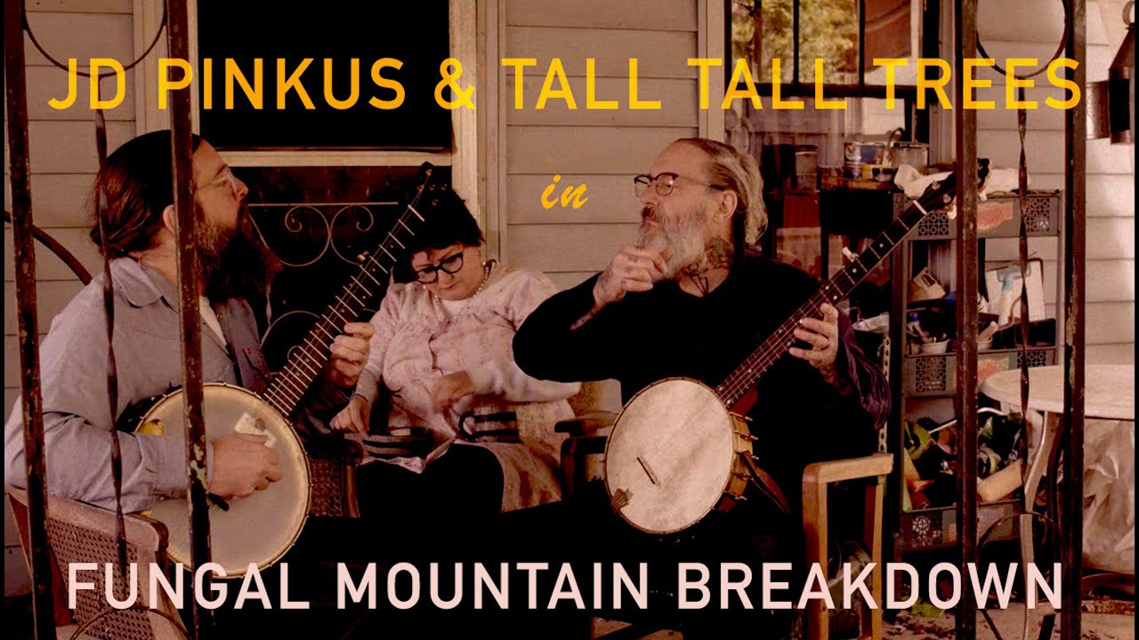 JD PINKUS & TALL TALL TREES - 