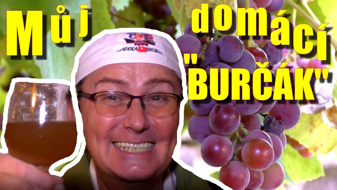 Dom&aacute;c&iacute; 