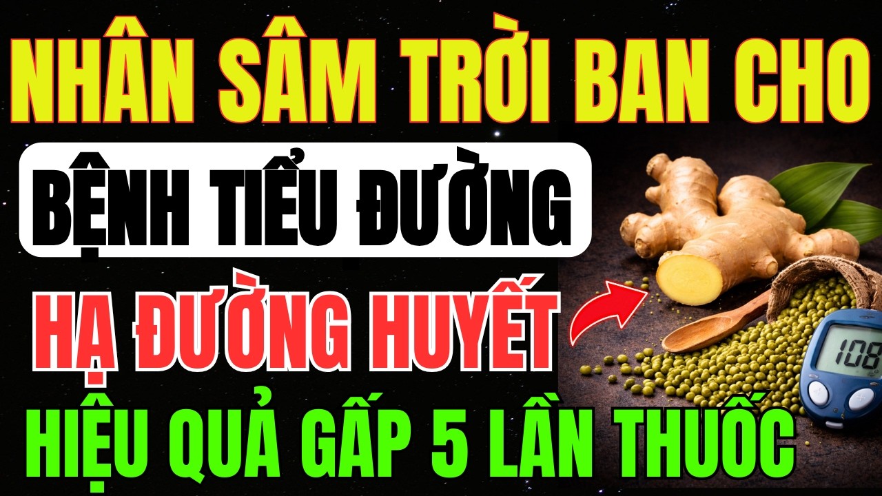 NHÂN SÂM Cho Bệnh 