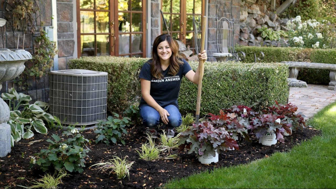 Planting Red Rover Heucherella in My Mom's Garden // Garden Answer