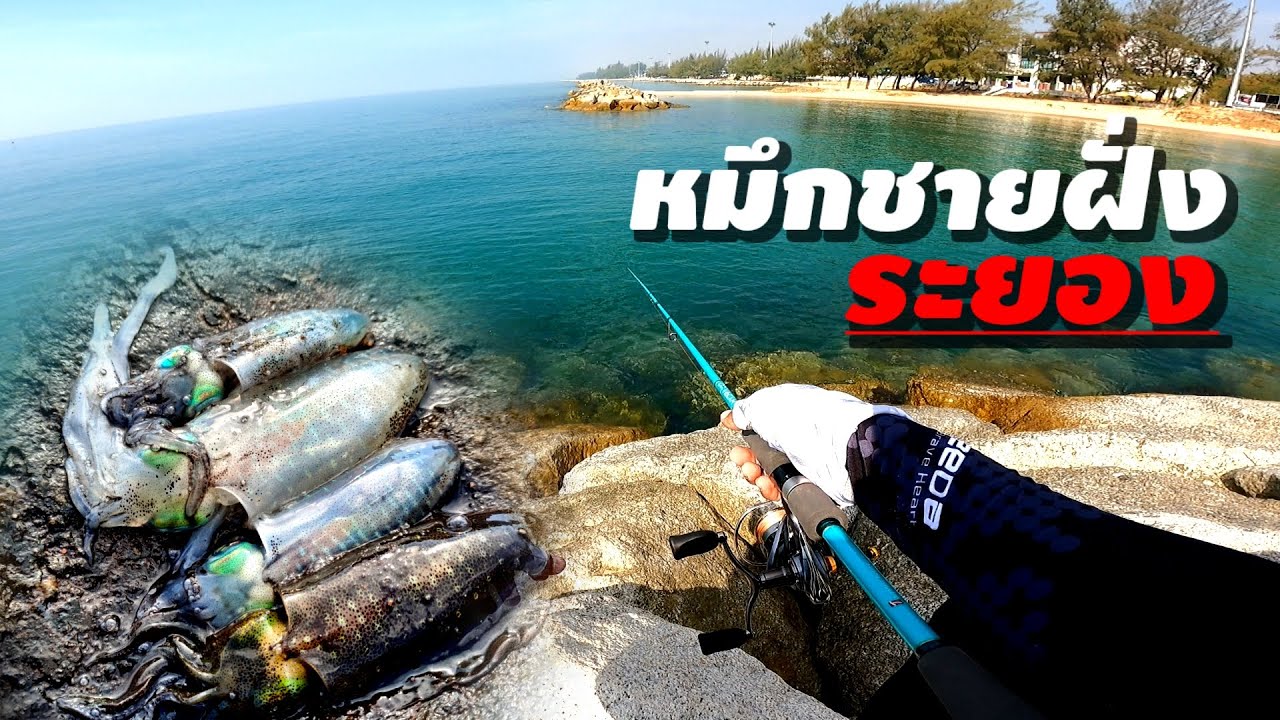 ตกปลาหมึกชายฝั่ง หาด PMY จังหวัดระยอง  เกือบไม่เจอหมึกซ๊ะเเล้ว
