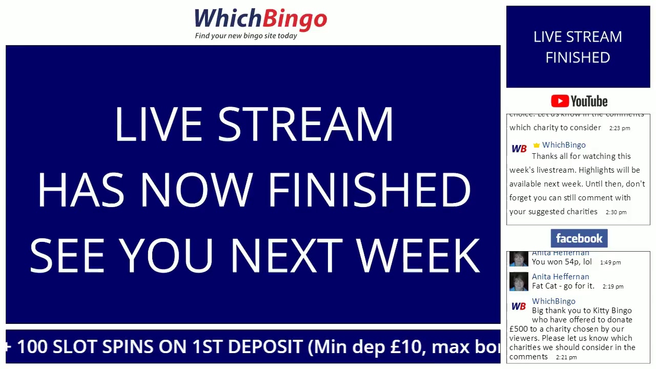 WhichBingo Live playing Kitty Bingo