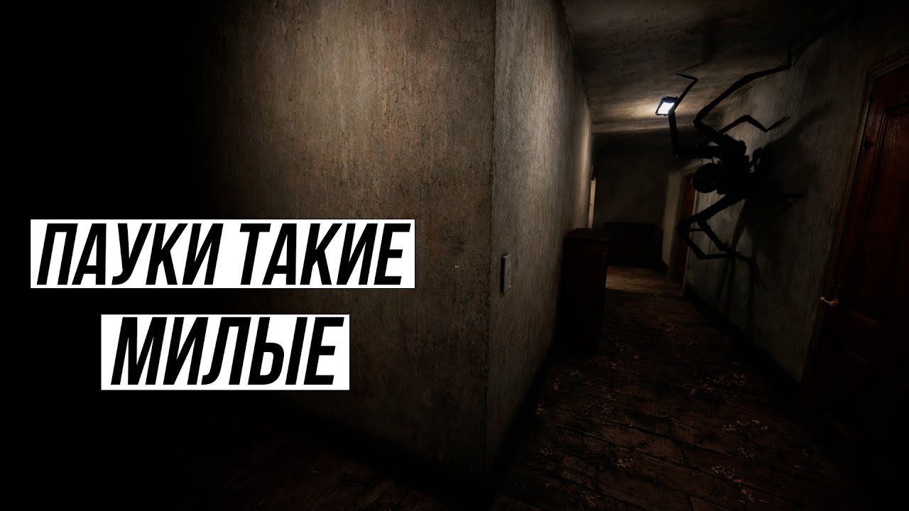 АРАХНОФОБАМ НЕ СМОТРЕТЬ