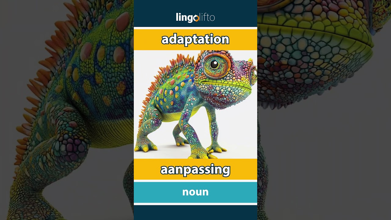 🇬🇧🇳🇱 adaptation - aanpassing : learn English : laten we Engels leren : vocabulary builder