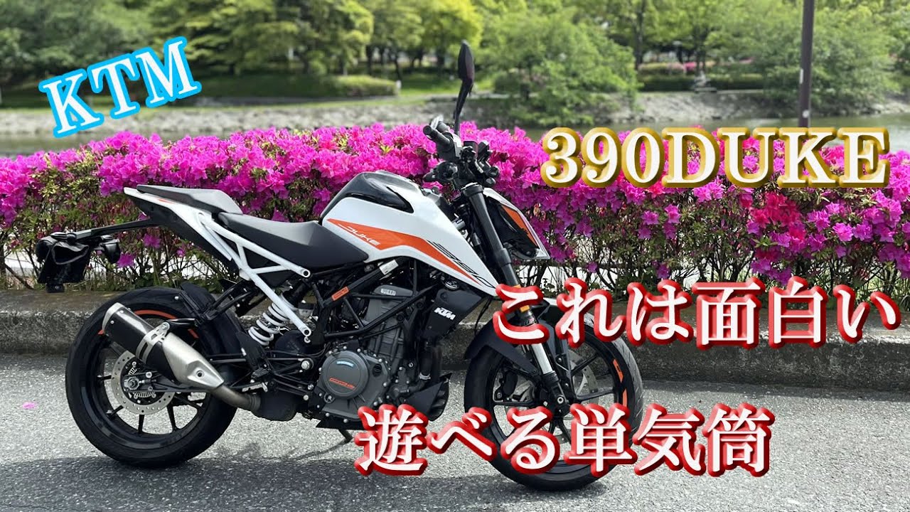 これ面白い【KTM390DUKE】乗らなきゃ損
