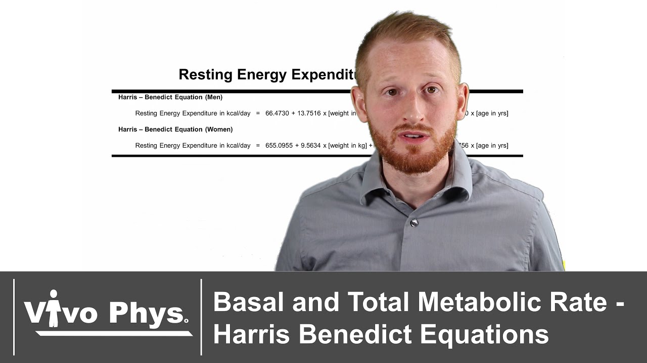 Basal and Total Metabolic Rate - Harris Benedict Equations