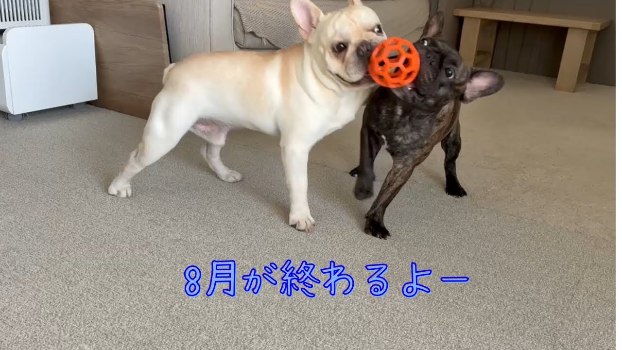 8月が終わるよー