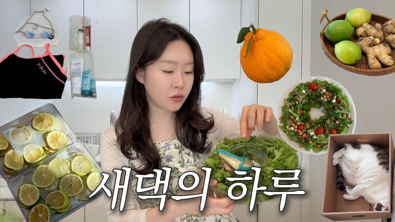레몬 손질, 수영 등록, 집밥 먹는 새댁의 일상