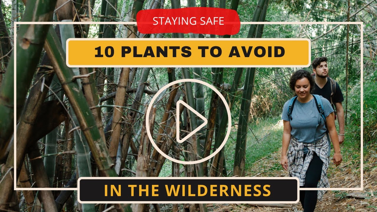 10 Plants to Avoid in the Wilderness