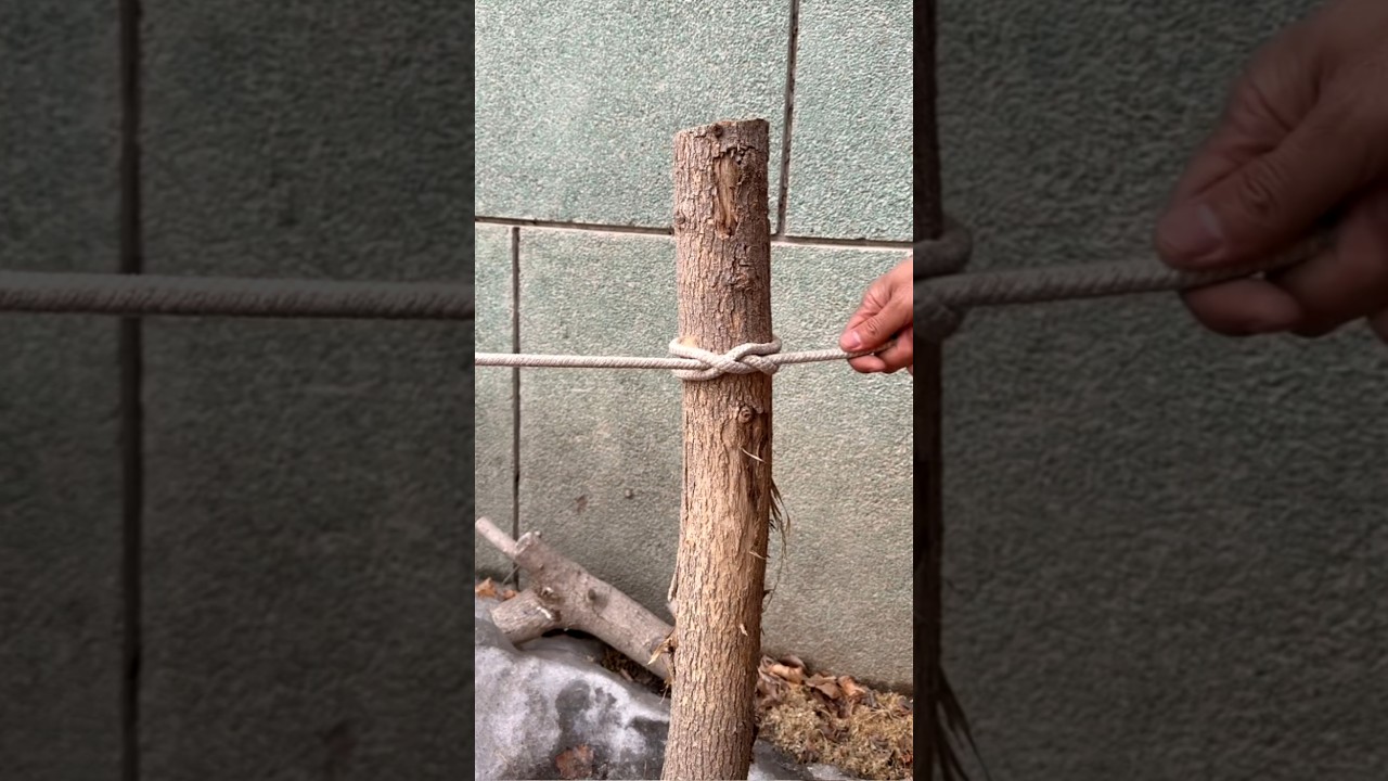 Japanese Style Rope Knot for Wood | जापानी तरीका रस्सी बांधने का | Unbreakable Knot!