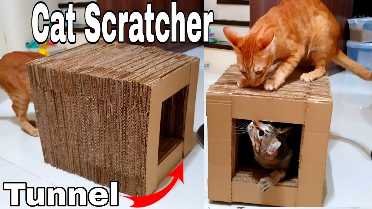 HOW TO MAKE CAT SCRATCHER FOR FREE!!! [Tunnel]