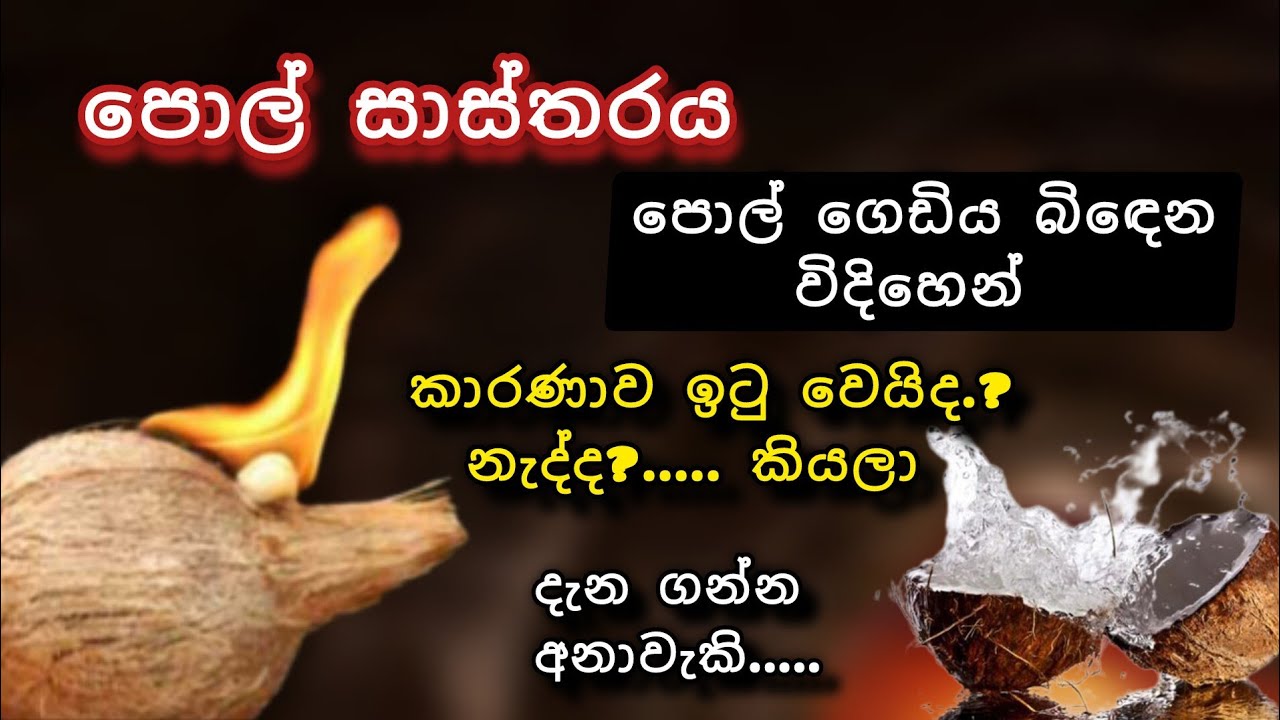 පොල් ගැසීමෙන් පසු කියවෙන පැරණි සාස්තර #astrology#sinhala #predictions #horoscope #mantra @Sthuthiy