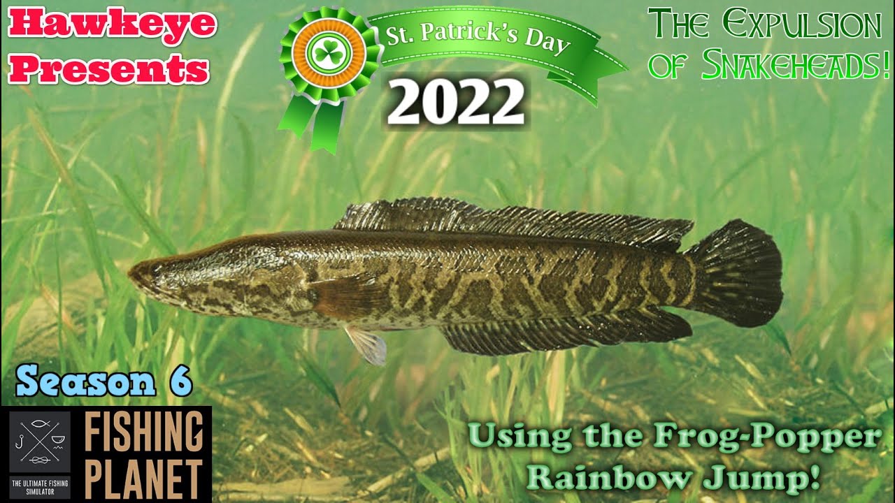 Fishing Planet #16 - S6 | The Expulsion of Snakeheads: Using the Frog-Popper Rainbow Jump!