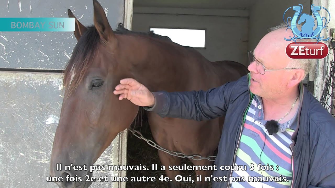 Ake KRISTOFFERSSON : les questions des internautes et ses espoirs - A2TURF.COM