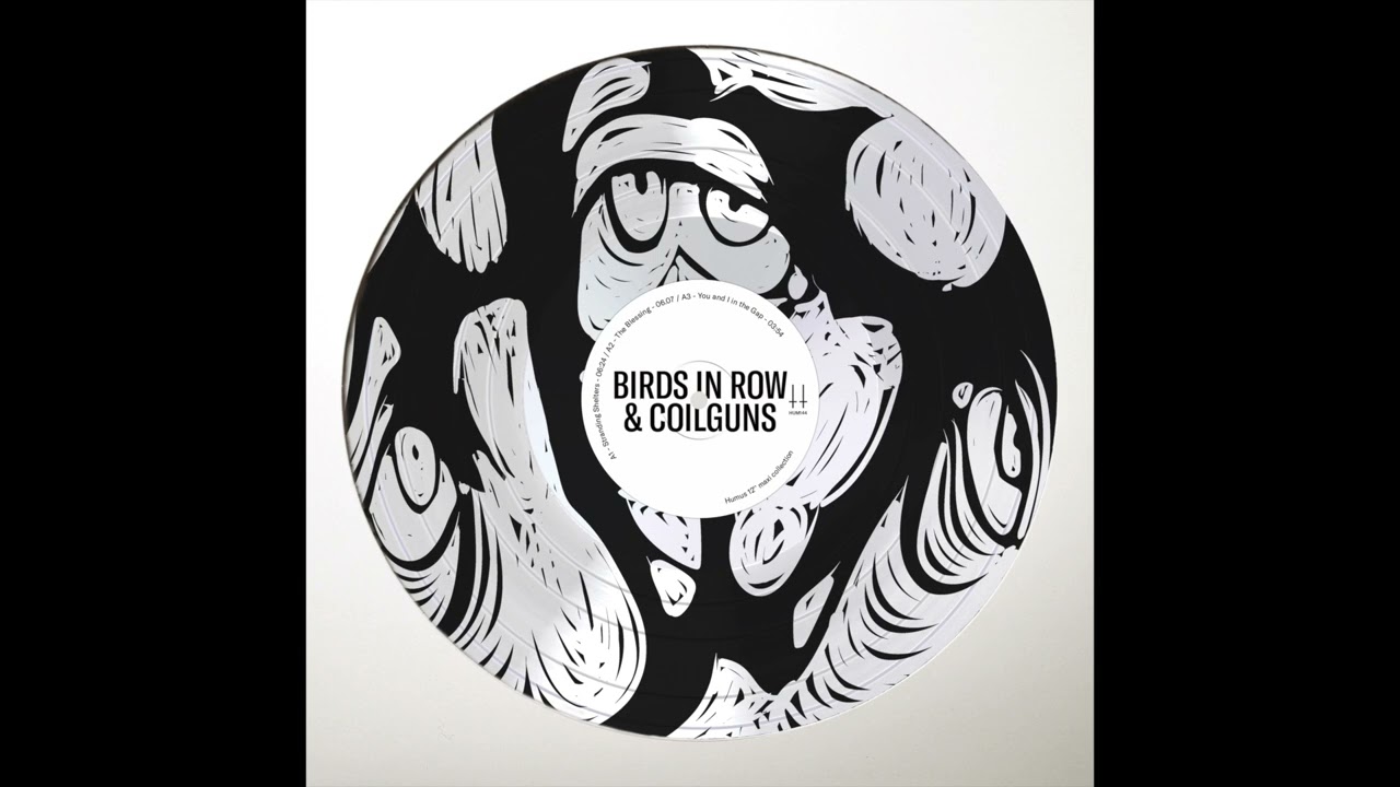 Birds in Row & Coilguns - You and I in the Gap (Full Album)