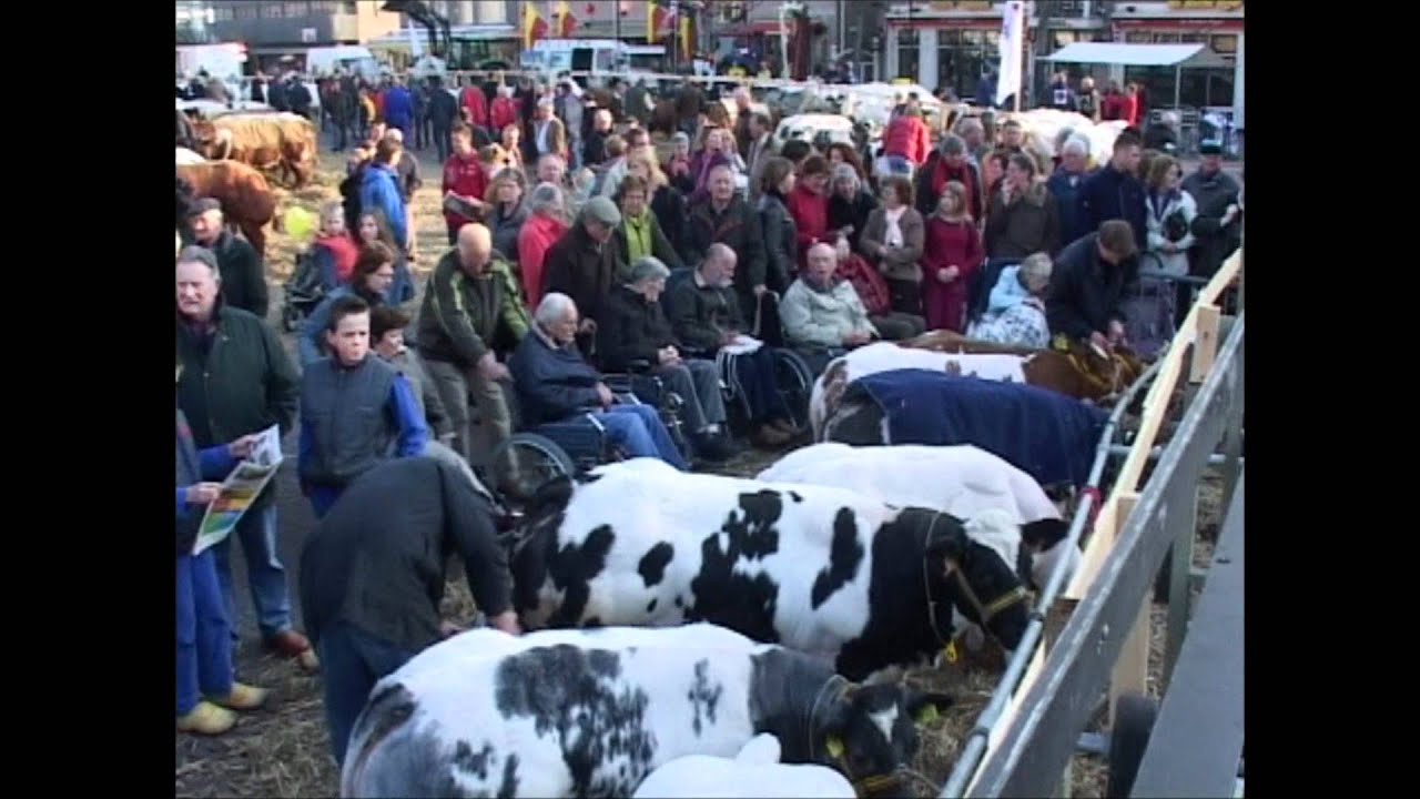 2007 Paasvee Schagen