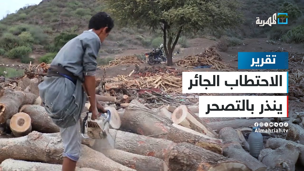 الاحتطاب الجائر ينذر بتصحر واسع في لحج