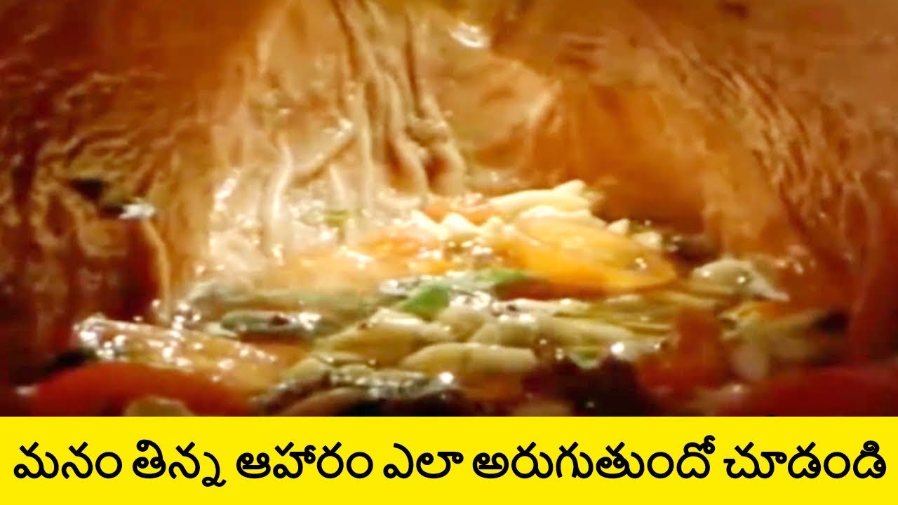 How The Digestive System Works in Human Body in Telugu | Telugu Badi