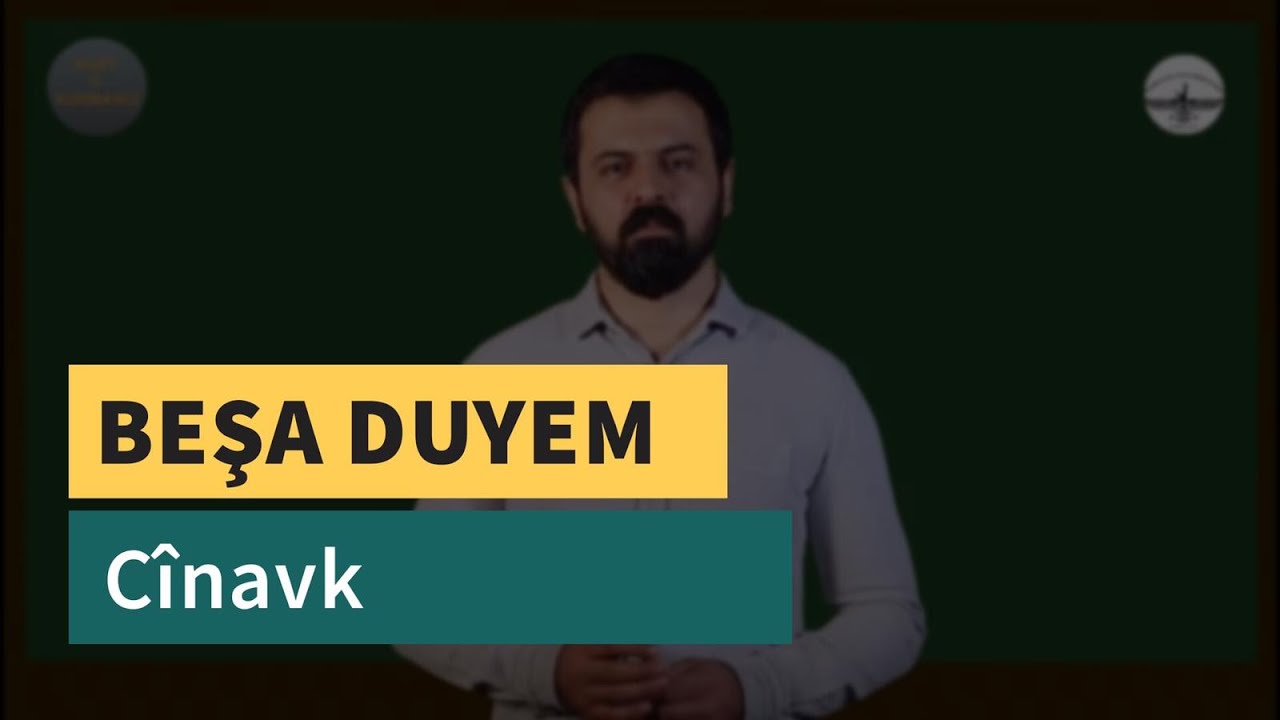 Kurt û Kurmancî - (Cînavkên Kurmancî) - Beşa Duyem